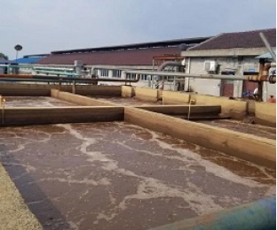 出水氨氮大于進水氨氮，怎么回事？