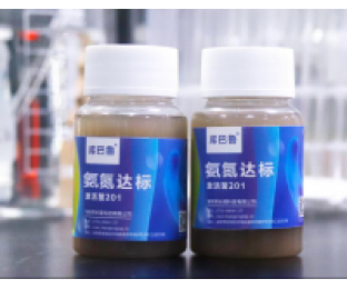 生化系統(tǒng)崩潰，氨氮超標(biāo)，我該怎么辦?
