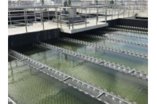 【干貨】有機(jī)物導(dǎo)致的氨氮超標(biāo)?這種情況該如何處理呢？