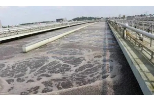 【重要】水中溶解氧越高，處理效果越好么？