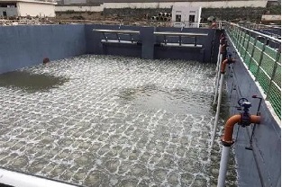 碳源的價格水漲船高，污水廠如何減少碳源投加量來降低成本？