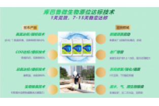 春節(jié)復(fù)工，生化系統(tǒng)快速修復(fù)，確保污水達(dá)標(biāo)排放