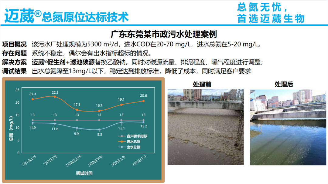 總氮原位達標技術(shù)案例-市政污水處理