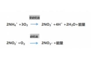 食品廢水氨氮超標(biāo)，你可以這么做
