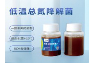 反硝化細菌在污水處理中的具體應用是什么？